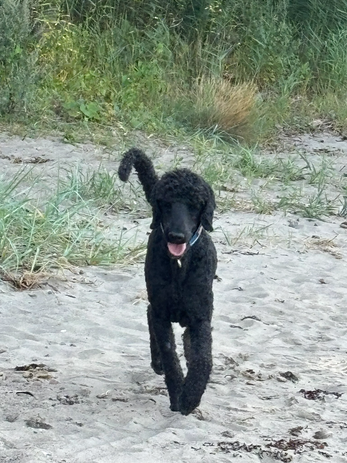 Max running toward the camera on a beach — the film poster