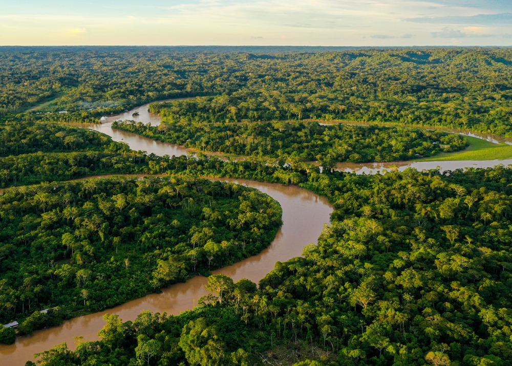 Aerial view of the Amazon rainforest canopy